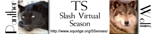 The Sentinel Slash Virtual Season